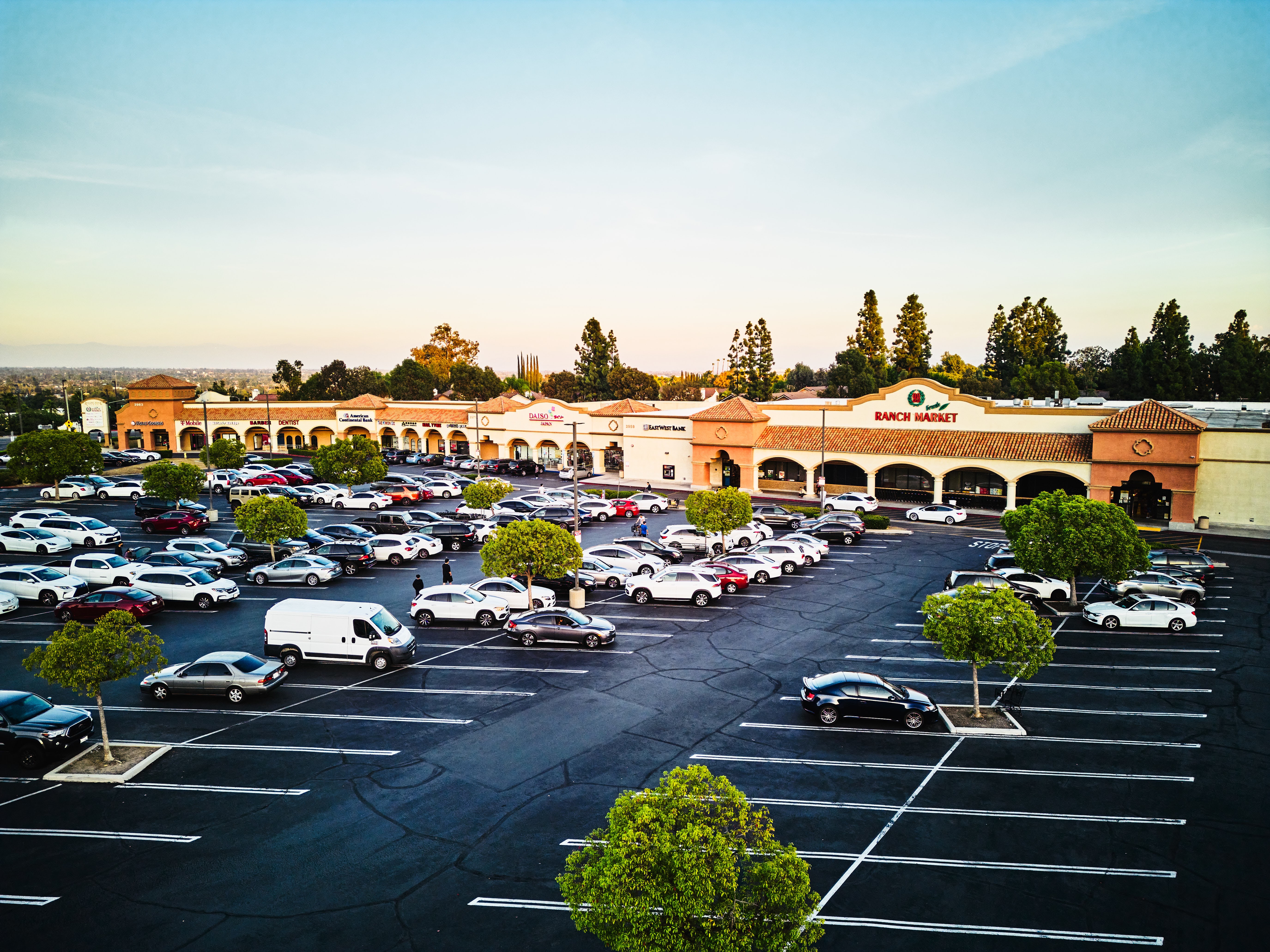 Tawa Rolling Ridge | Sunny Skies Terrace